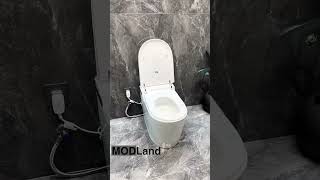 Stylish Bidet Toilet [upl. by Bratton]