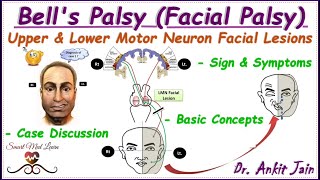 Bells palsy Upper and Lower motor neuron facial palsy Central facial palsyAnatomy Simplified [upl. by Clywd401]