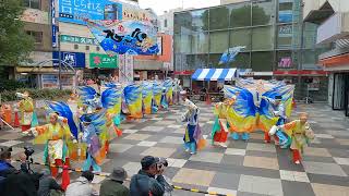 【ぞっこん町田98  PEGASUS〜空〜】町田夢舞生ッスイ祭2024 小田急駅前東口広場会場 ステージ形式 yosakoi dance [upl. by Anjela87]