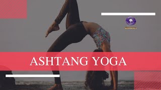 ASHTANG YOGA  Surya Namaskar A and B Benefits [upl. by Harday123]