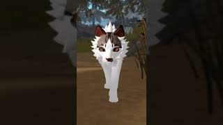 Light feather wcueroblox cat wcue warriors wcueedit funnyvideos edit wcueupdate [upl. by Bagley]