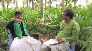 a person having Worlds Highest Areca Nut Nursery plants  Varieties of Areca Nut plants available [upl. by Nnayram]