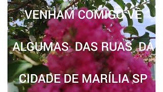 VAMOS AO MERCADO SÃO FRANCISCO VEJAM ALGUMAS RUAS DA MINHA CIDADE MARÍLIA SP [upl. by Gazzo]