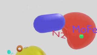 Nitrogenase Enzyme Animation Enzyme Action [upl. by Airahcaz]