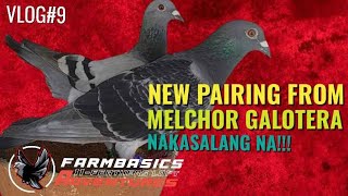 BAGONG PAIRING FRON MELCHOR GALOTERA SINALANG NA VLOG9 LOFT UPDATE [upl. by Ahsercal915]