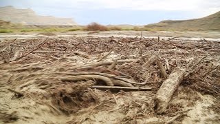 A Monster Flash Flood  Debris Flow Drone Footage [upl. by Eirrab]