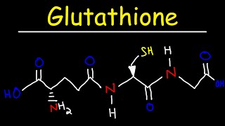 Glutathione  The Tripeptide Antioxidant amp Reducing Agent [upl. by Carlton]