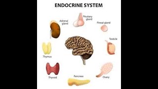 Physiology  Endocrine  lecture 6  part 3  Tetany  DrNagi  Arabic [upl. by Shira]