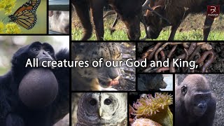 All creatures of our God and King  David Crowder  Lyric Video [upl. by Anivlac]