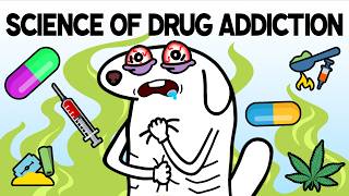 Why are Drugs Addictive The Science of Drug Addiction [upl. by Aerdnaek644]