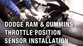 Dodge RAM amp Cummins Throttle Position Sensor Installation [upl. by Normie]