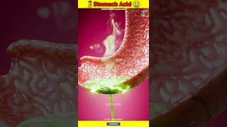 How Strong Is Stomach Acid 😨 shorts youtubeshorts stomach stomachacid acid [upl. by Tezil]