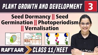 Plant Growth and Development 03  Seed Dormancy  Seed Germination  Class11NEET RAFTAAR [upl. by Mandy]