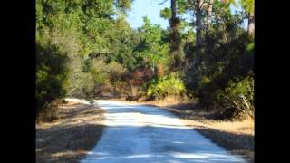 Half Moon Wildlife Management Area Florida [upl. by Heinrick]