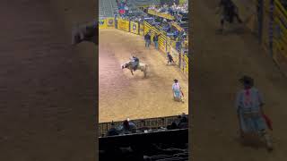 2023 rodeo ￼bull ride  rodeo mississippiswampdonkeys [upl. by Eesdnyl]