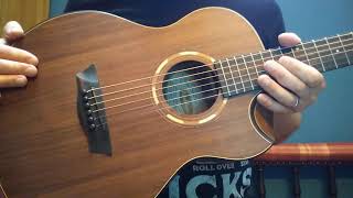 Washburn G Mini 55 Koa acoustic guitar review [upl. by Ylnevaeh]