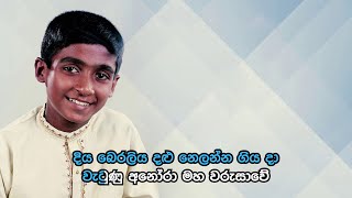 Diya Beraliya Dalu  දිය බෙරලිය දළු  Official Karaoke [upl. by Aliehs]