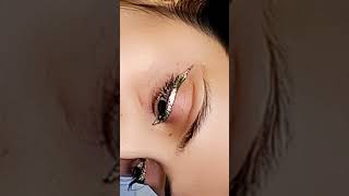 Wing eyeliner tutorial with steps [upl. by Kasper224]