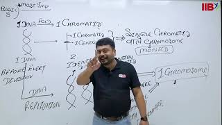 Cell cycle and cell division CCD by Chirag sir IIB Latur  lec05 [upl. by Genny]