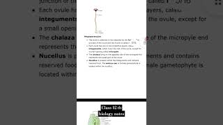 Sexual reproduction in flowering plants notes  class 12 th biology notes  chapter2 notes shorts [upl. by Odravde]