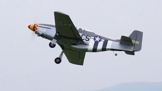 P 51 MUSTANG  TOPFLITE 60 ARF RC PLANE [upl. by Admama674]