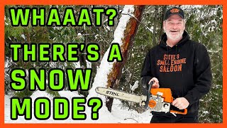 Only 1 in 5000 People Know This Winter CHAINSAW TRICK DO YOU [upl. by Ahsimrac]