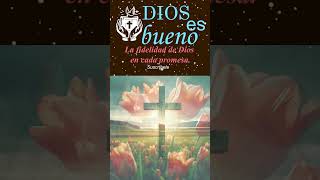 DIOS ES BUENO La fidelidad de Dios en cada promesa Dios DiosEsBueno feendios palabradedios [upl. by Sanfo205]