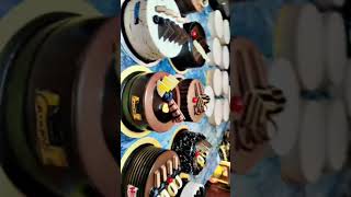 punjabi newsong punjabisong cake music musicthemecake birthdaycake lotusflower [upl. by Gerrard271]