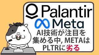 AI技術が注目を集める中、メタ株のリターンはパランティア株に劣る【20241007】 [upl. by Beatrisa112]