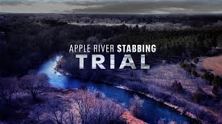 LIVE  Apple River stabbing trial Nicolae Miu  Day 4 [upl. by Diad]