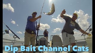 Catching Channel Catfish on Secret 7 Cheese Bait [upl. by Clance]