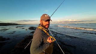 Chasing Cod in Northumberland [upl. by Manara]