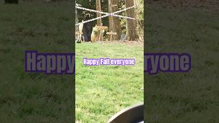 fall food halloween2024 shortvideo northcarolina itsneverending5321 [upl. by Serg912]