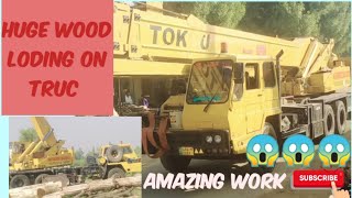 Most Biggest Wood Loading With Crain MachineExcavatorCambodia​ Excavator​ Crane​ [upl. by Atinek395]