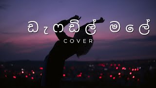 හිත මා සොරාගෙන Daffodil male Dayan Witharana Cover [upl. by Aeduj]