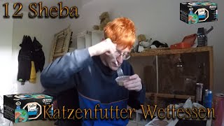 12 Sheba Katzenfutter Wettessen Schaffe ich Es [upl. by Earle]