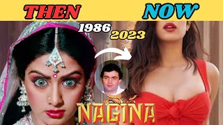 NAGINA 1986  NAGINA FULL MOVIE CAST 1986 TO 2023  RISHI KAPOOR  SRIDEVI  AMRISH PURI  nagina [upl. by Anilat]