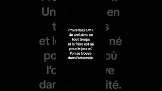 Proverbes 1717 [upl. by Kinghorn306]