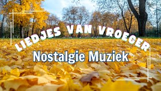 Oude Nederlandse Liedjes 🍁 Hollandse Liedjes 🍁 Meest Beluisterde Muziek Uit Nederland [upl. by Aramit]