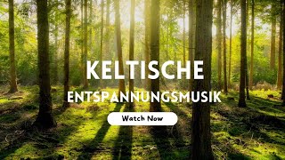 Keltische Entspannungsmusik instrumental I relaxen amp träumen [upl. by Innor36]