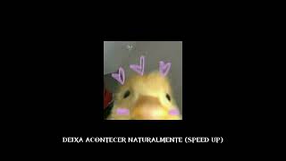 Deixa acontecer naturalmente speed up [upl. by Amiaj]