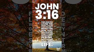 KJV John 316 scriptureoftheday kjv godsword verseoftheday quoteoftheday jesuschrist god [upl. by Hsirk498]