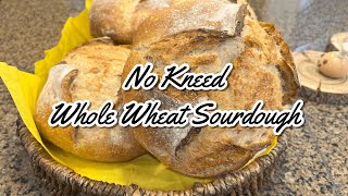 NO KNEED Whole Wheat Sourdough Bread [upl. by Nafis]