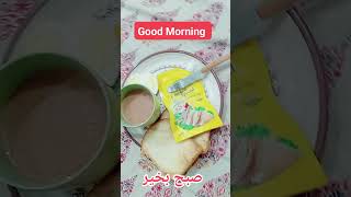 Bismillah Karan  Good Morning aamirandsonsvlogs aamirishaqonline goodmorning [upl. by Wymore]