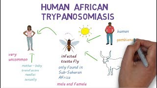 Sleeping Sickness  an introduction to African Trypanosomiasis [upl. by Hsima902]