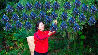 Single Girl Harvest gleditsia amp Goes To Market Sell  Harvesting And Cooking  Lý Song Ca [upl. by Tedric]