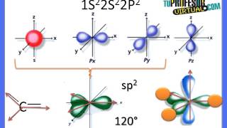 Hibridación de los Orbitales del Átomo de Carbono  Lección Teórica [upl. by Corby]