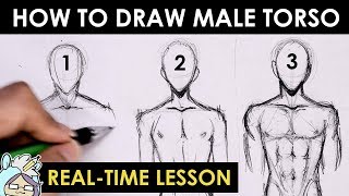 How To Draw Male Torso Three Different Ways [upl. by Nueovas]