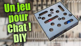 Je fabrique un jeu pour chat   DIY [upl. by Lytsirhc]