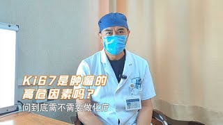 病理报告Ki67指标越高，肿瘤生长越快？它其实有三个作用 [upl. by Attenauqa]